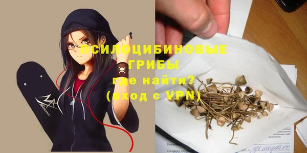 apvp Арсеньев