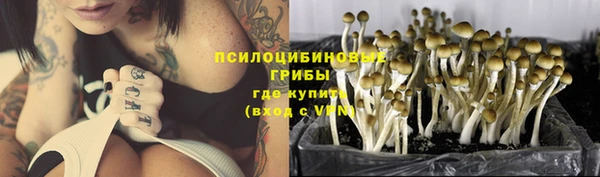 apvp Арсеньев