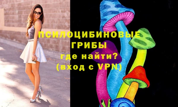 apvp Арсеньев